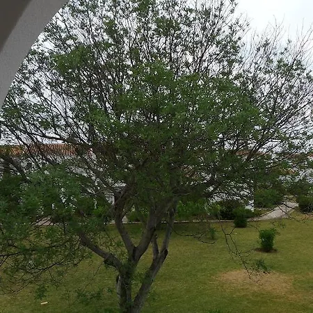 شقة Apartamento Na Vila Senhora Da Rocha